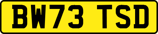 BW73TSD