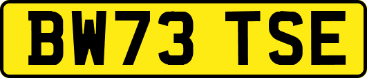 BW73TSE