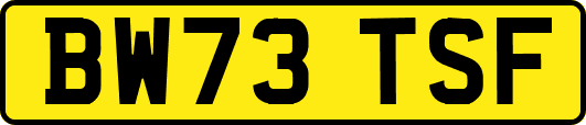 BW73TSF
