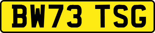 BW73TSG