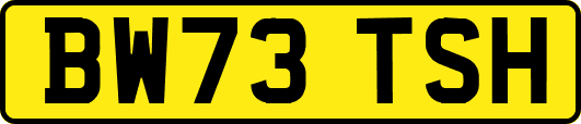 BW73TSH