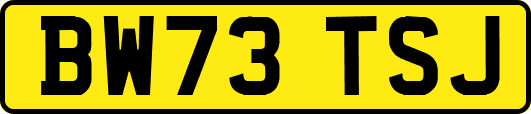 BW73TSJ