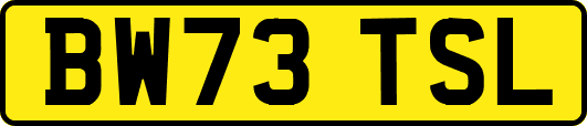 BW73TSL