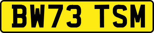 BW73TSM