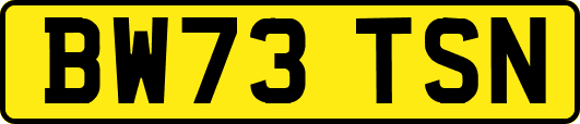 BW73TSN