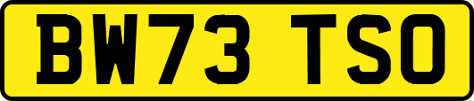 BW73TSO