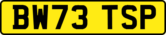 BW73TSP