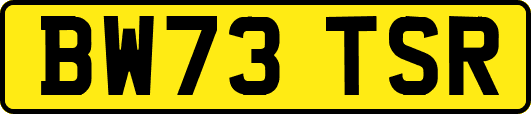 BW73TSR