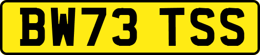 BW73TSS