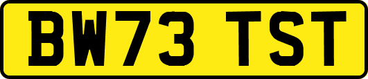 BW73TST