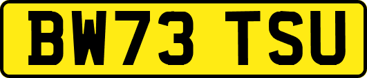 BW73TSU