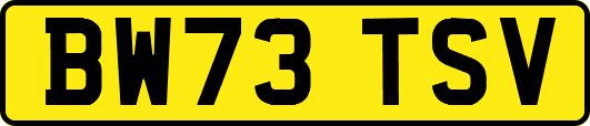 BW73TSV