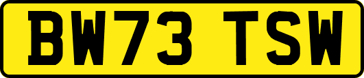 BW73TSW