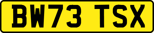 BW73TSX