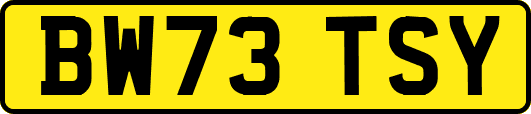 BW73TSY