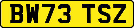 BW73TSZ