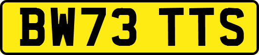BW73TTS
