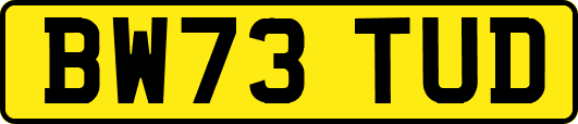 BW73TUD