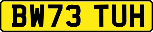 BW73TUH