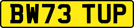 BW73TUP