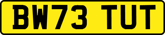 BW73TUT