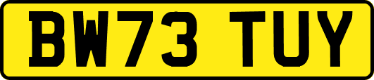 BW73TUY