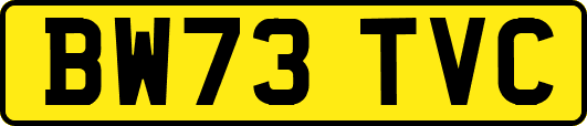 BW73TVC