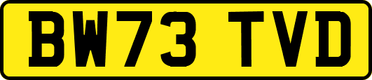 BW73TVD