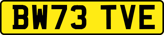 BW73TVE