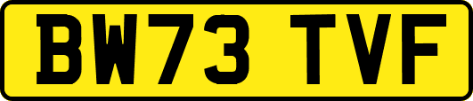 BW73TVF