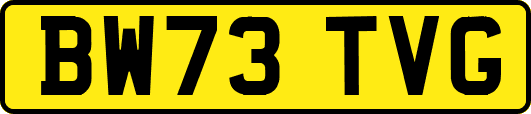 BW73TVG
