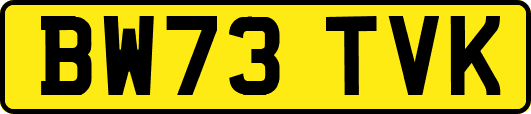 BW73TVK