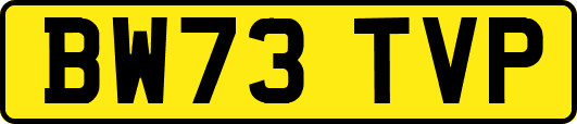 BW73TVP