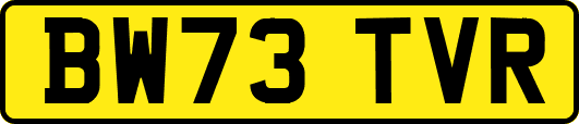 BW73TVR