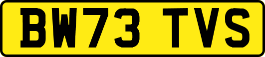 BW73TVS