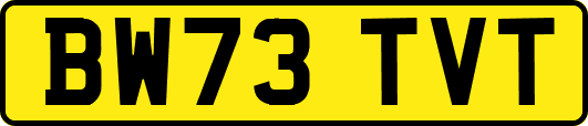 BW73TVT