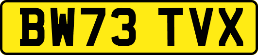 BW73TVX