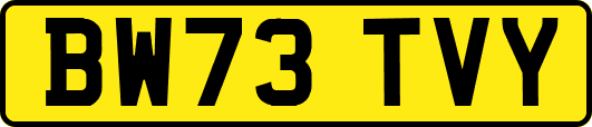 BW73TVY