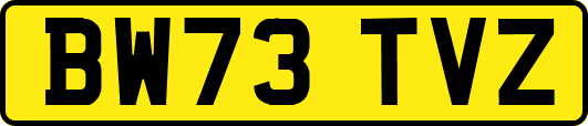 BW73TVZ
