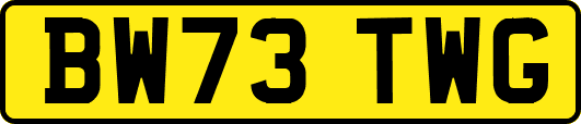 BW73TWG
