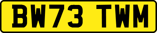 BW73TWM