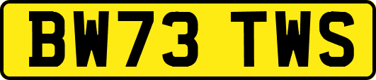 BW73TWS
