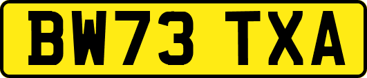 BW73TXA