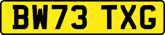 BW73TXG