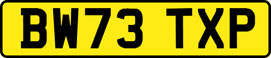 BW73TXP