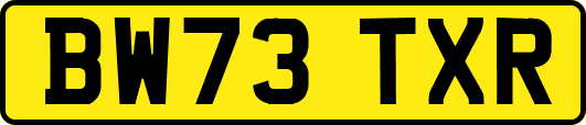 BW73TXR