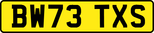 BW73TXS