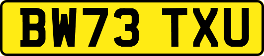 BW73TXU