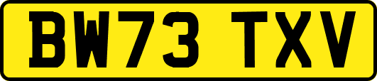 BW73TXV