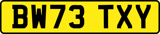 BW73TXY